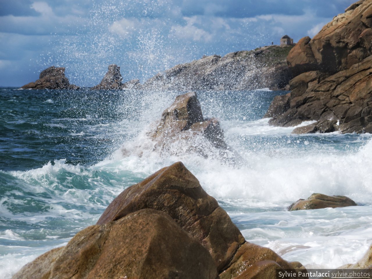 Certains semblent faire partie de la mer